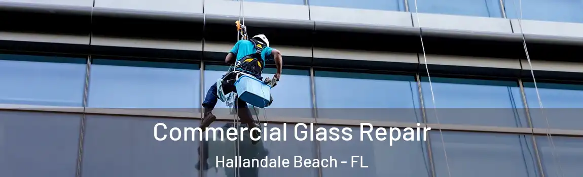  Commercial Glass Repair Hallandale Beach - FL