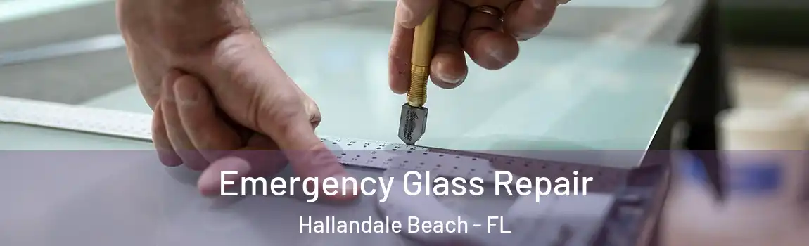  Emergency Glass Repair Hallandale Beach - FL