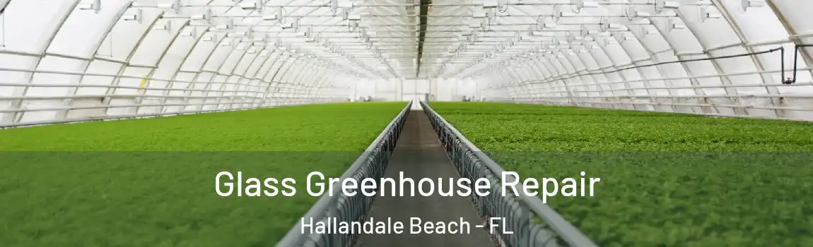  Glass Greenhouse Repair Hallandale Beach - FL