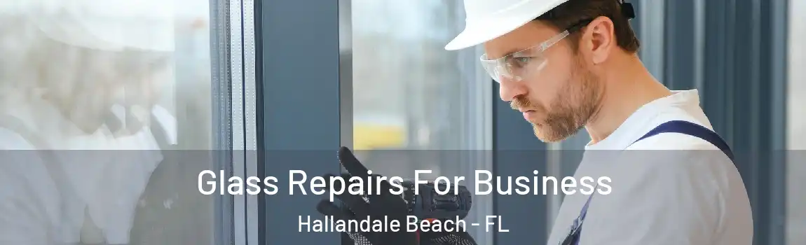  Glass Repairs For Business Hallandale Beach - FL