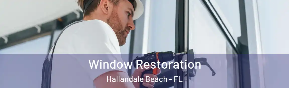  Window Restoration Hallandale Beach - FL